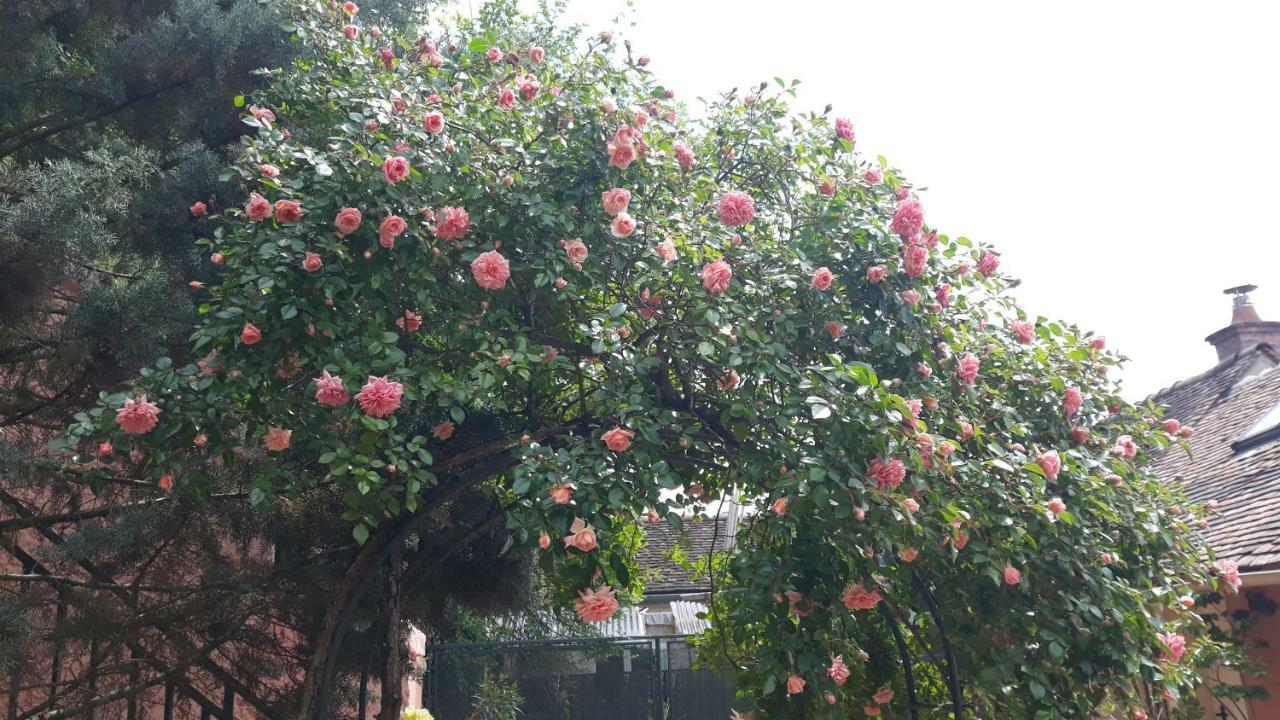 Отель La Maison Rose: Lieu Atypique Немур Экстерьер фото